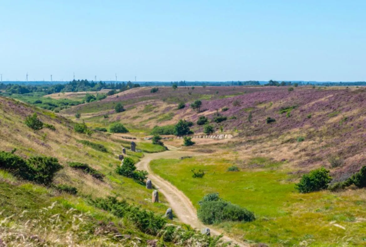 Farm stay Benslehoj Villa Karup Denmark